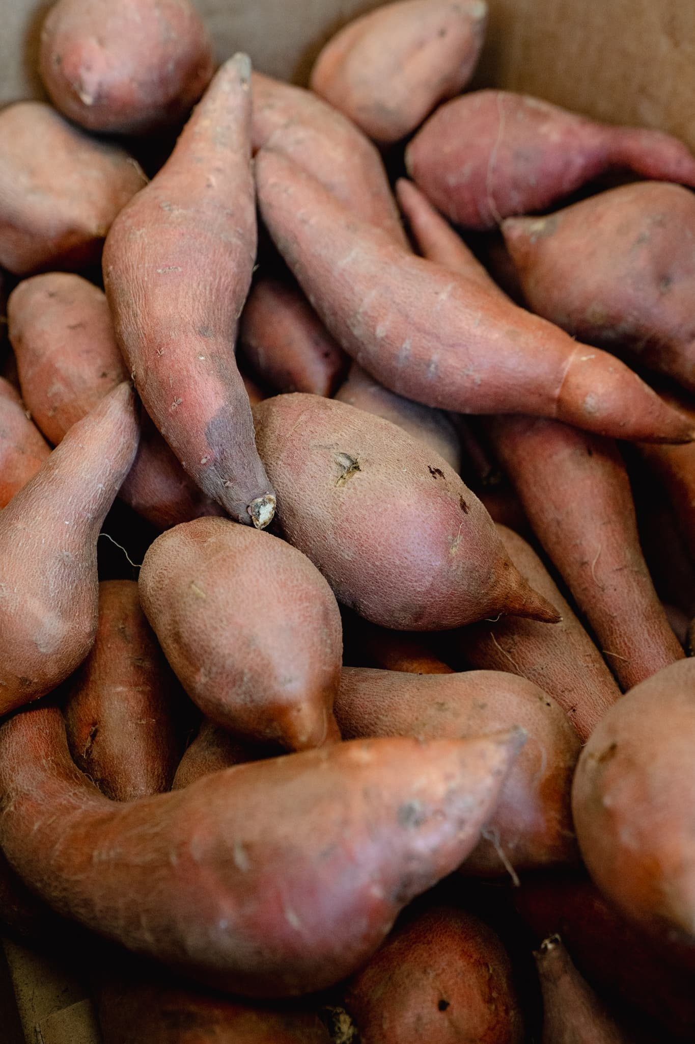 Whole sweet potatoes